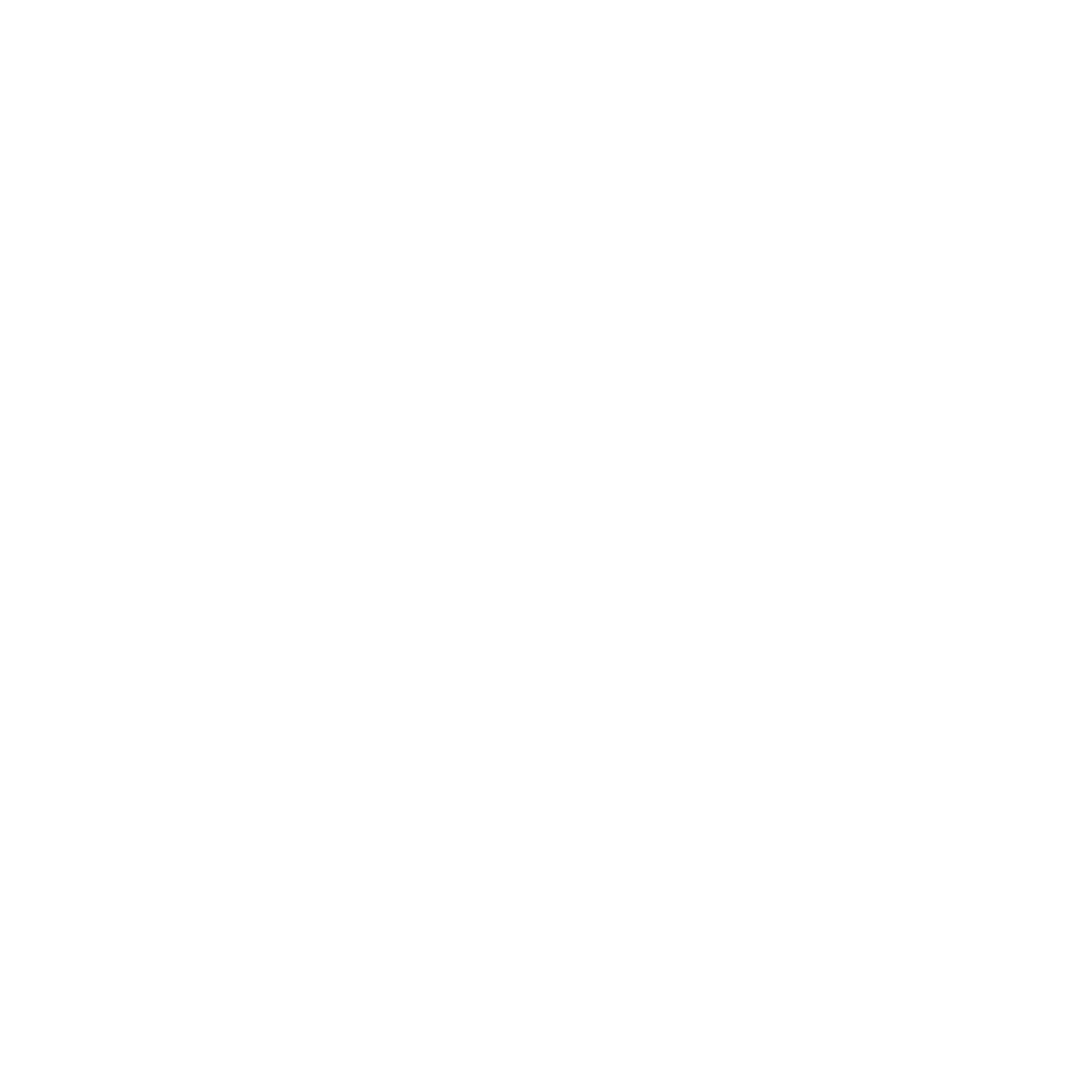 CS2 Icon